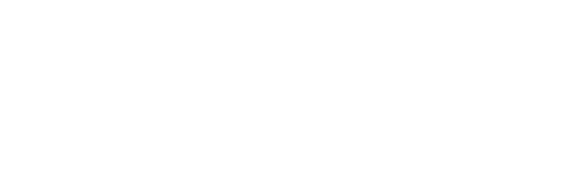 AHS SAS